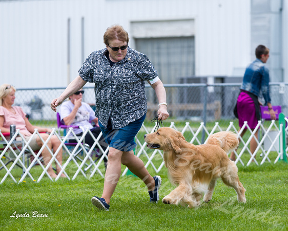 Dogshow 2015-04-18 Terre Haute--133140