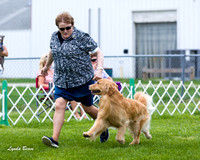 Dogshow 2015-04-18 Terre Haute--133141