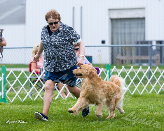 Dogshow 2015-04-18 Terre Haute--133141