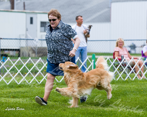 Dogshow 2015-04-18 Terre Haute--133141-3