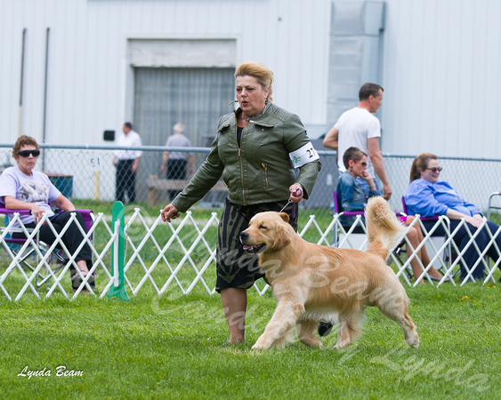 Dogshow 2015-04-18 Terre Haute--133259-2