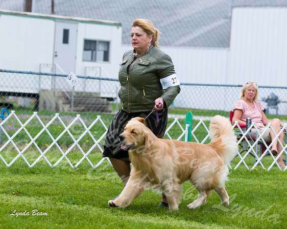 Dogshow 2015-04-18 Terre Haute--133301