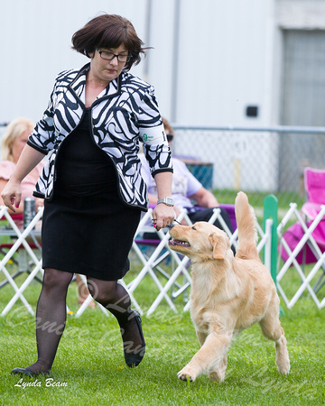 Dogshow 2015-04-18 Terre Haute--133827