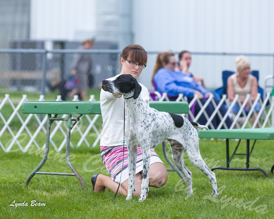 Dogshow 2015-04-18 Terre Haute--150247