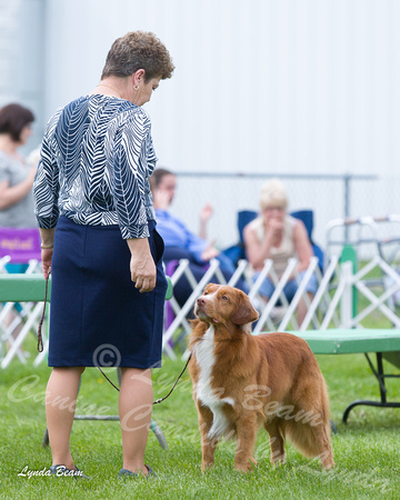 Dogshow 2015-04-18 Terre Haute--150442