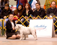 Dogshow 2015-01-31 ChicagoIntl--163004