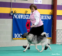 Dogshow 2024-06-30 NEINEA Candids--103610-3