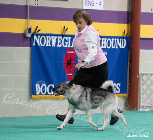 Dogshow 2024-06-30 NEINEA Candids--103610-3