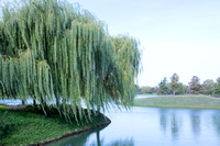20121009 Chicago Botanical Gardens