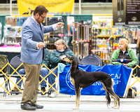 Dogshow 2015-01-31 ChicagoIntl--181306