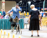 Dogshow 2015-01-31 ChicagoIntl--181506