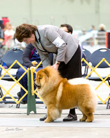 Dogshow 2015-01-31 ChicagoIntl--181730