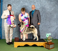 Dogshow 2022-07-02 NEINEA Win Photos --135842-3