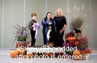 Dogshow 2024-10-26 BMDCNI Day 2--132501-4