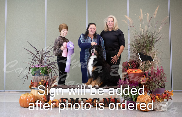 Dogshow 2024-10-26 BMDCNI Day 2--132501-4