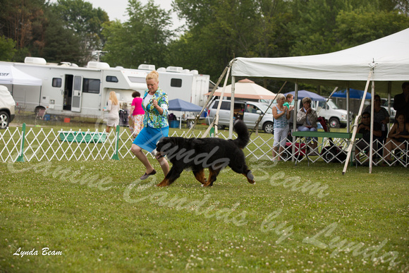 Dogshow 2015-08-09 Greater Racine--155020-2
