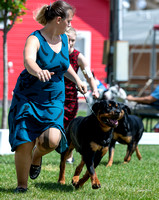 Dogshow 2022-08-01 Burlington WI KC--102027-4