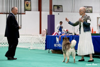 Dogshow 2024-06-30 NEINEA Candids--111447