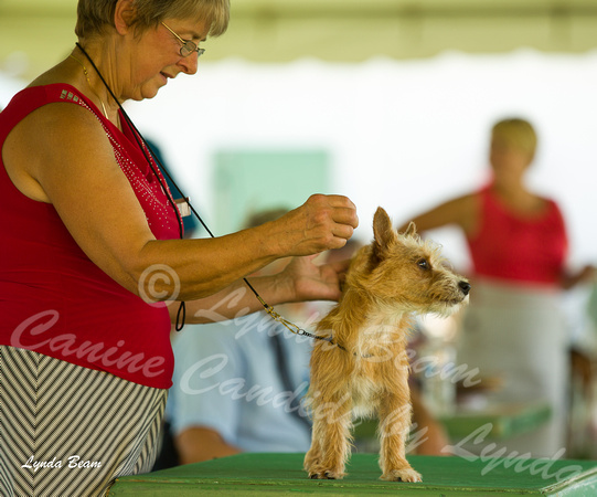 Dogshow 2015-09-05 Wilmot--145016