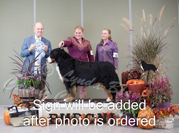 Dogshow 2024-10-26 BMDCNI Day 2--165251