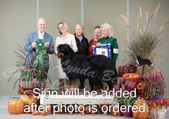 Dogshow 2024-10-26 BMDCNI Day 2--165032