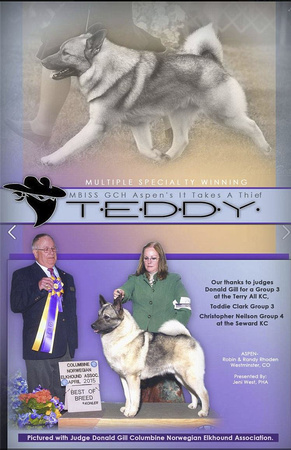 TEam Teddy Top Dog Weekly