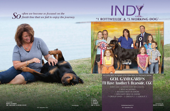 favorite indy ad