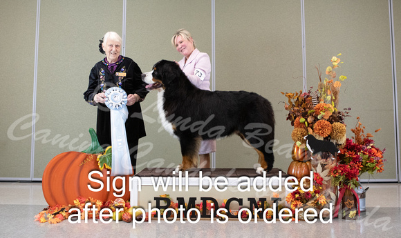 Dogshow 2024-10-25 BMDCNI Day 1--162038