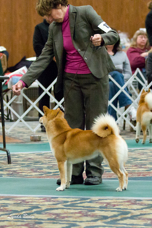 Nov 18 2011 NSCA Parent Specialty, Best of Breed Comp.