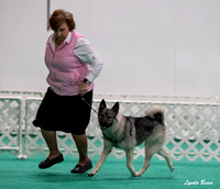 Dogshow 2024-06-30 NEINEA Candids--110329-2