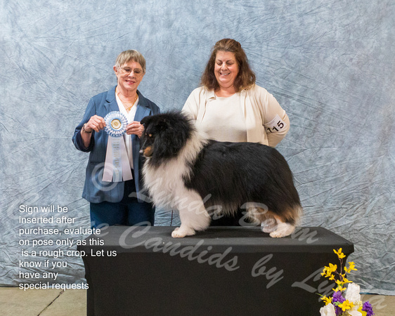 Dogshow 2023-03-05 CSSC Day 1 Show 1 Win Photos--111500-3