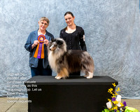#119 Show 1 - Best of Breed - GCH Voyager's Barrio