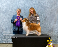Dogshow 2023-03-05 CSSC Day 1 Show 1 Win Photos--111307