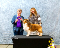 Dogshow 2023-03-05 CSSC Day 1 Show 1 Win Photos--111305-2