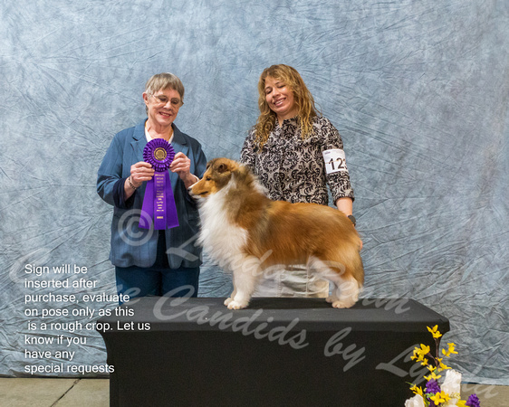 Dogshow 2023-03-05 CSSC Day 1 Show 1 Win Photos--111310
