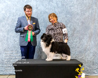#14 Best in Puppy Sweepstakes - Belmark Crown Jewel