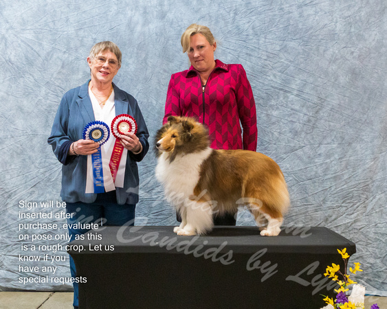 Dogshow 2023-03-05 CSSC Day 1 Show 1 Win Photos--111059