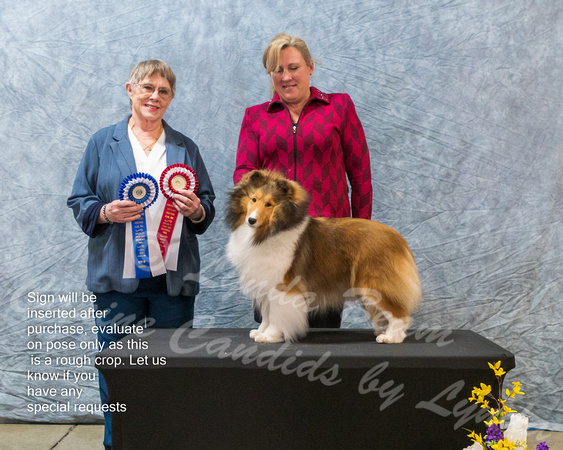Dogshow 2023-03-05 CSSC Day 1 Show 1 Win Photos--111105