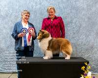 Dogshow 2023-03-05 CSSC Day 1 Show 1 Win Photos--111124-2