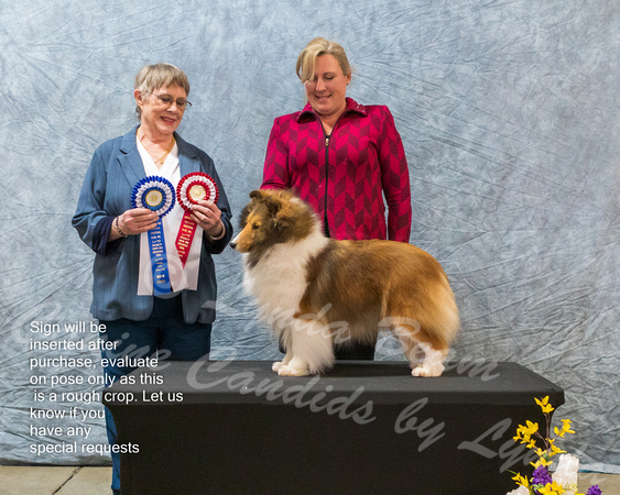 Dogshow 2023-03-05 CSSC Day 1 Show 1 Win Photos--111124-2