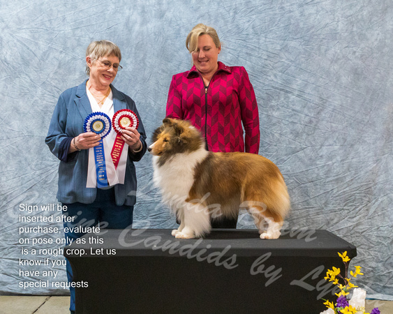 Dogshow 2023-03-05 CSSC Day 1 Show 1 Win Photos--111124