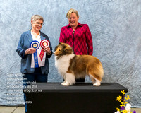 Dogshow 2023-03-05 CSSC Day 1 Show 1 Win Photos--111125-2