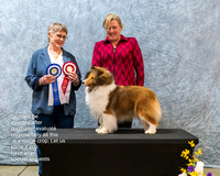 Dogshow 2023-03-05 CSSC Day 1 Show 1 Win Photos--111125