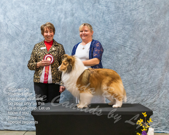 Dogshow 2023-03-05 CSSC Day 1 Show 1 Win Photos--145822