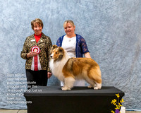 Dogshow 2023-03-05 CSSC Day 1 Show 1 Win Photos--145858-2