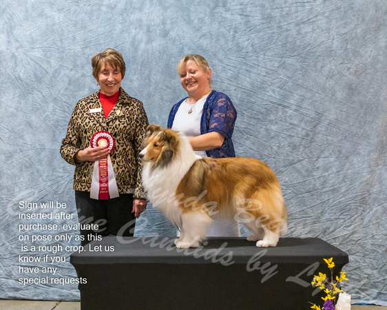 Dogshow 2023-03-05 CSSC Day 1 Show 1 Win Photos--145834-2