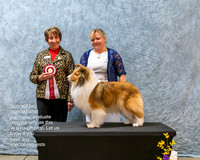 Dogshow 2023-03-05 CSSC Day 1 Show 1 Win Photos--145859