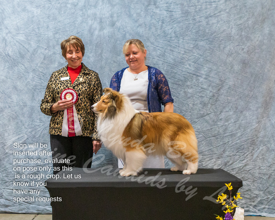 Dogshow 2023-03-05 CSSC Day 1 Show 1 Win Photos--145859