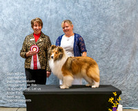 Dogshow 2023-03-05 CSSC Day 1 Show 1 Win Photos--145908-3