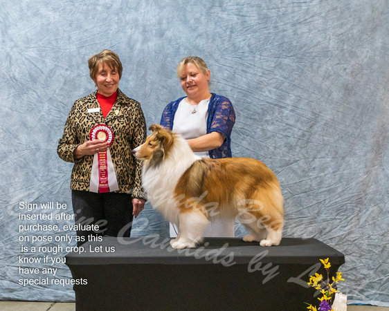 Dogshow 2023-03-05 CSSC Day 1 Show 1 Win Photos--145922